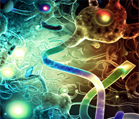 Small Molecule Compounds and the Nrf2 Signaling Pathway